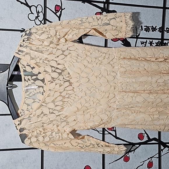 Free People Lace Dress Size 2 - Picture 2 of 10